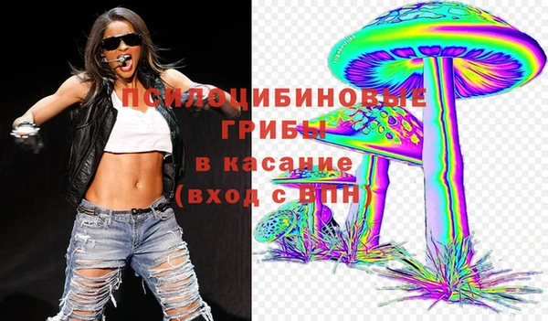 Альфа ПВП Алзамай