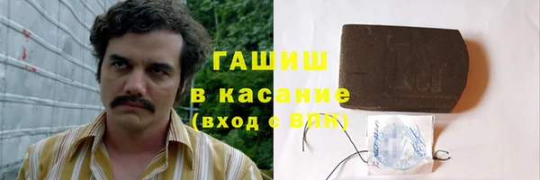 ешки Алексин