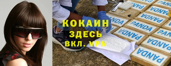 Альфа ПВП Алзамай